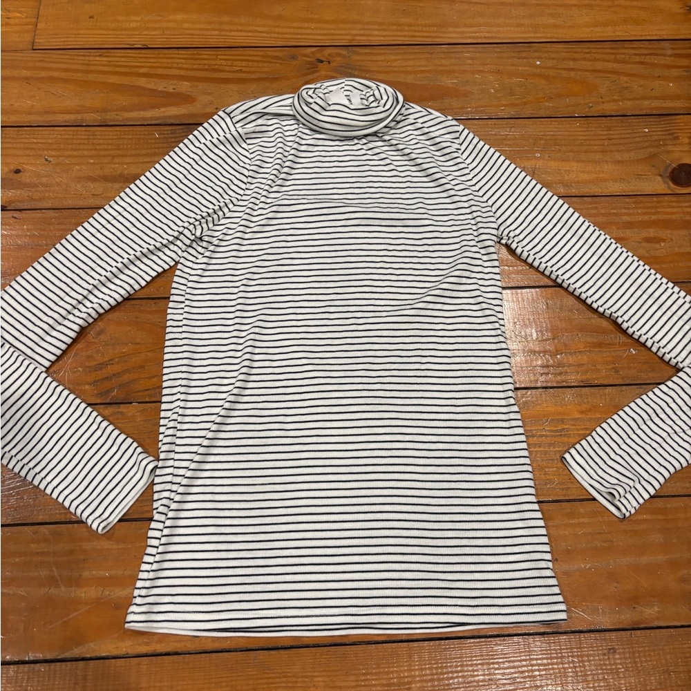 (1011) *STRIPED TURTLENECK*